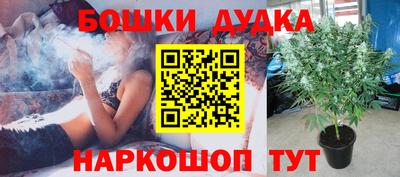 соль ск Ипатово