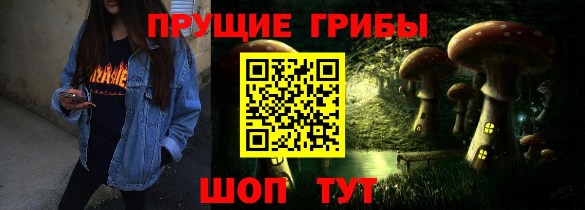 Псилоцибиновые грибы Psilocybine cubensis Ликино-Дулёво