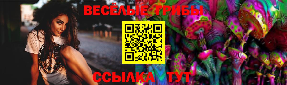Галлюциногенные грибы Psilocybine cubensis  Вход с VPN  Ликино-Дулёво 